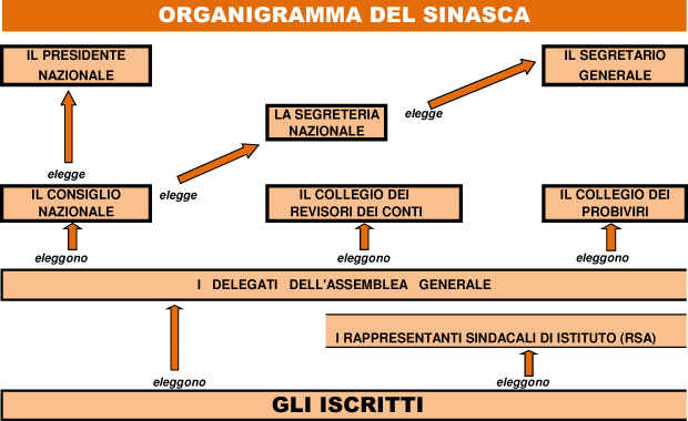 organigramma